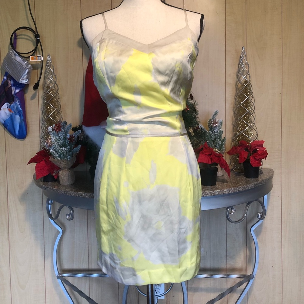 Club‎ Monaco Floral Silk Dress